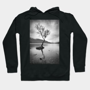 Lone Tree at Llyn Padarn Hoodie